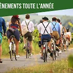 AuSaumurTranquille - Les VioIettes